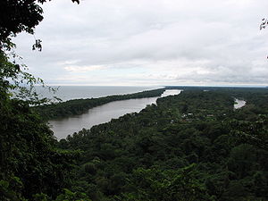 Vista del Parque Nacional Tortuguero
