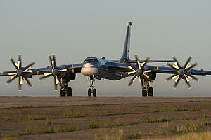 Tupolev Tu-95 Marina.jpg