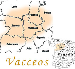 Vaceos224.jpg