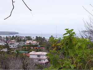 View of Santa Cruz, Galapagos.jpg