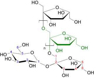 Figura 1. Representación de la molécula de inulina