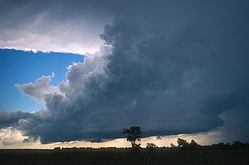 A dark cloud covers most of the sky. Silhouettes of trees can be seen at the bottom.