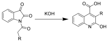 The Halberkann variant of the Pfitzinger reaction