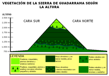 Esquema de la vegetación de la Sierra de Guadarrama según la altura.