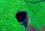 Laguna Bellavista Bolivia Satelital map 61.52334W 13.png