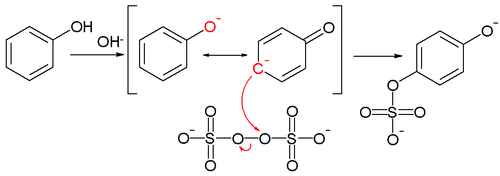 The Elbs persulfate oxidation reaction mechanism