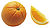 Citrus sinensis.jpg