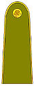LT-Army-OR1.jpg