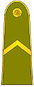 LT-Army-OR4.jpg