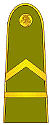 LT-Army-OR5b.jpg