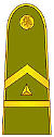 LT-Army-OR8b.jpg