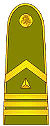 LT-Army-OR9.jpg