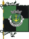 Bandera de Vila Praia de Âncora