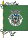 Bandera de Cinfães (freguesia)