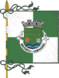 Bandera de Serzedelo (Guimarães)