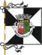 Bandera de São João da Madeira