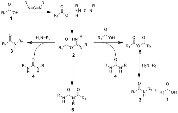 Mecanismo de reacción de la formación de amidas usando una carbodiimida.