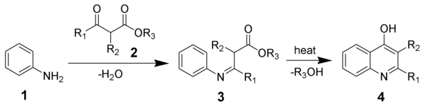 The Conrad-Limpach synthesis