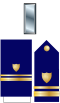 US CG O2 insignia.svg