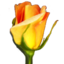 Logotipo de Rosegarden
