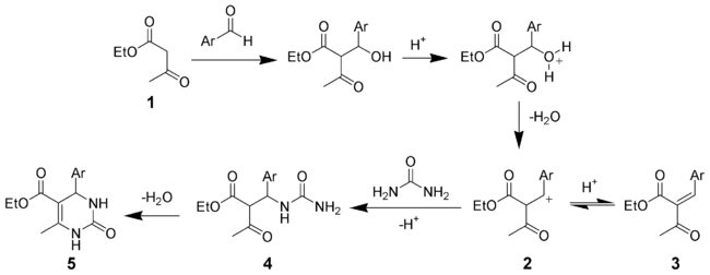 The mechanism of the Biginelli reaction