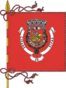 Bandera de Elvas