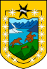 Escudo de XI Región Aysén del General Carlos Ibáñez del Campo