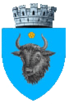 Escudo de Sighetu Marmației