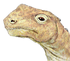 Abrosaurus head.png