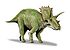 Anchiceratops BW.jpg
