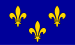 French Flag‎