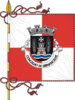 Bandera de Sernancelhe