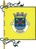 Bandera de Sousel