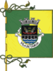 Bandera de Tábua