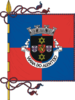 Bandera de Viana do Alentejo