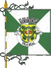 Bandera de Vila Real