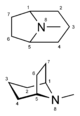 Estructura química del tropano