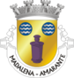 Escudo de Madalena (Amarante)