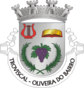 Escudo de Troviscal (Oliveira do Bairro)