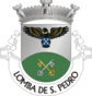Escudo de Lomba de São Pedro