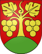 Escudo de Bühl bei Aarberg