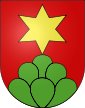 Escudo de Rohrbach