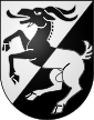 Escudo de Wilderswil