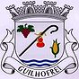 Escudo de Guilhofrei