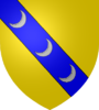 Escudo de Lunéville