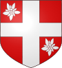Escudo de Morillon