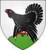 Escudo de Aubure