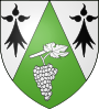 Escudo de Saint-Fiacre-sur-Maine  Saent-Fiacre