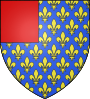Escudo de Thouars