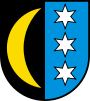 Escudo de Schinznach-Dorf